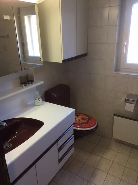 Вилла Chez Plaschy Salgesch Экстерьер фото